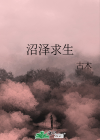 对照组在年代文搞事业