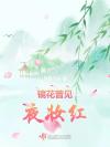 记忆残像
